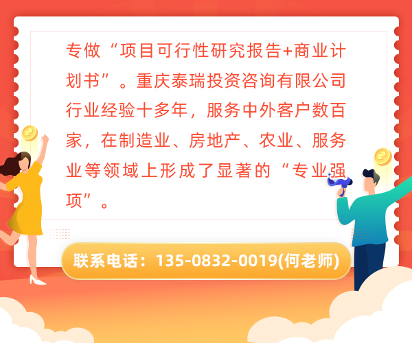 重庆可研究报告代写